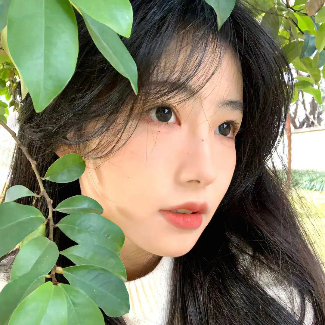 格吕宁根的秋天